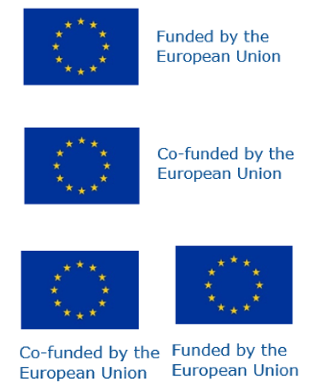 When do I have to put the EU flag in Horizon Europe? - EU Funds